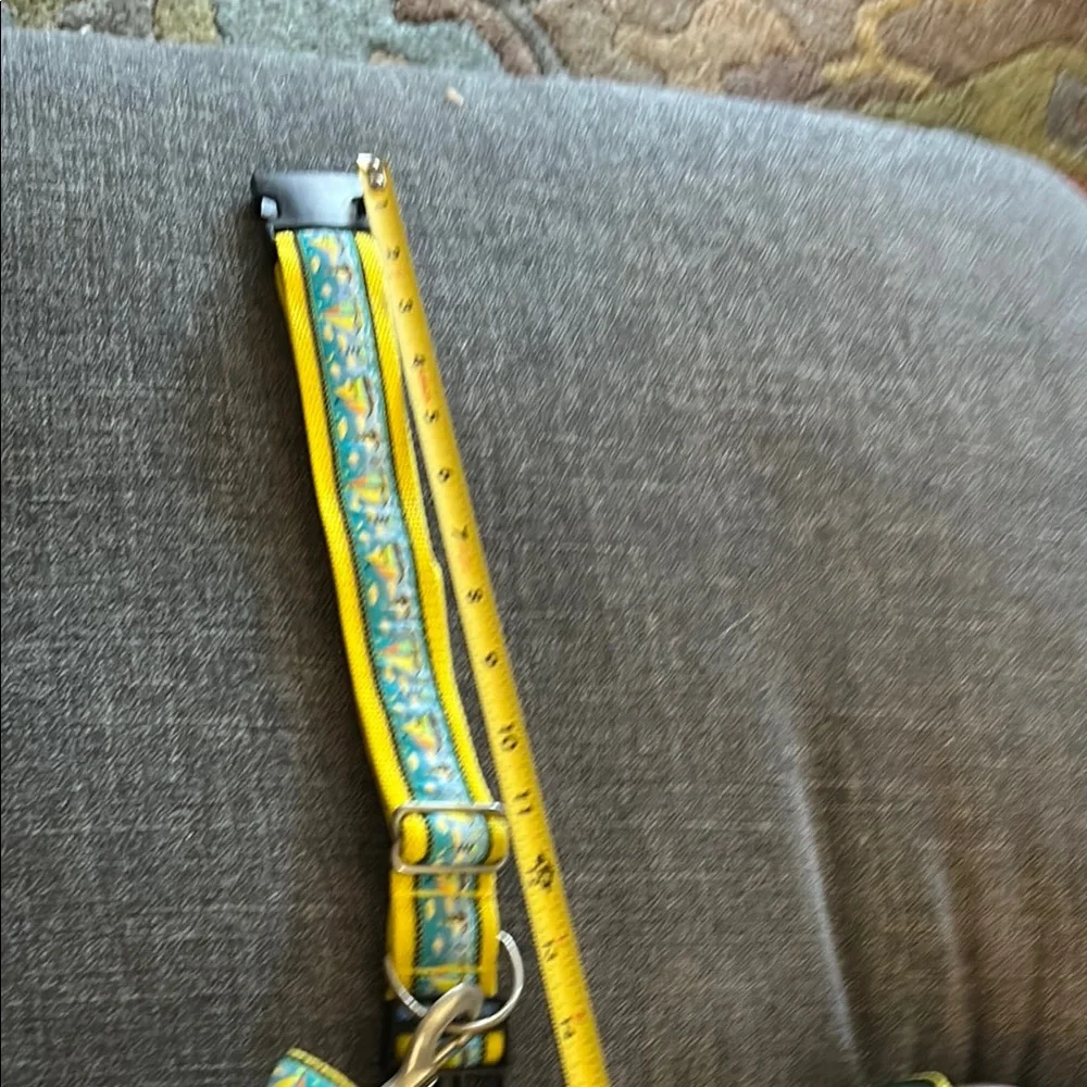 Sailboat Dog Collar & 4ft Leash
